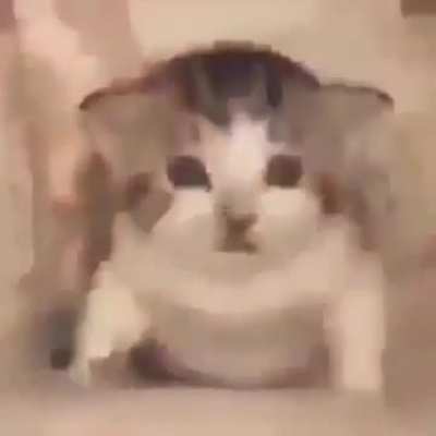 Evil, megalomaniac terrorism lunkus being destroyed through power of purity bombs 