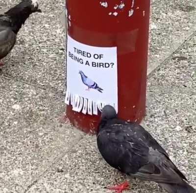 I need this but for humans