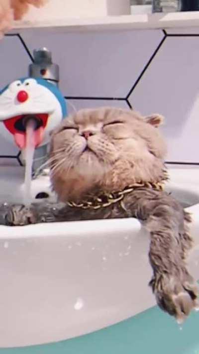 This is the life I was talking about