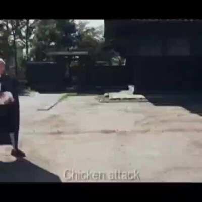 Chicken Attack!