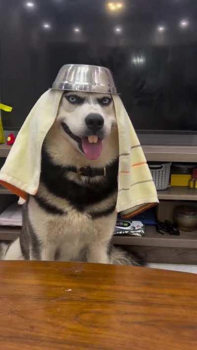 Sheikh Dogebob