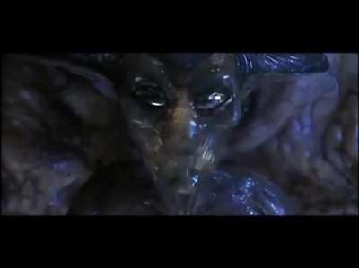 What they want those declining the cv vax to do