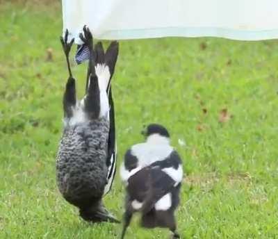 The superpowers you gain to become an effortless weirdo, just from the presence of a friend