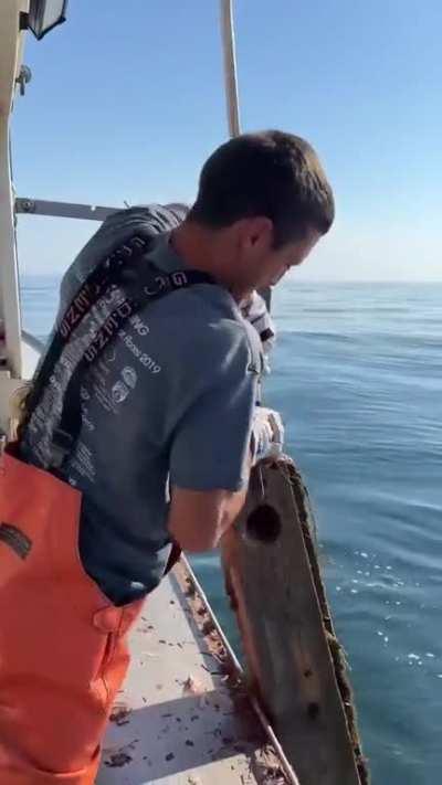 Guy caught something special