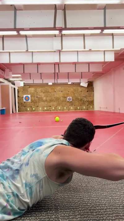 Crouching Tiger Hidden Horse