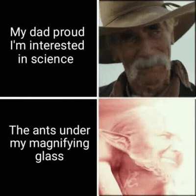 Yo, the meme is down there