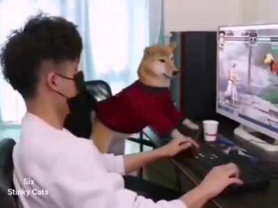 Hooman, You're a loser...