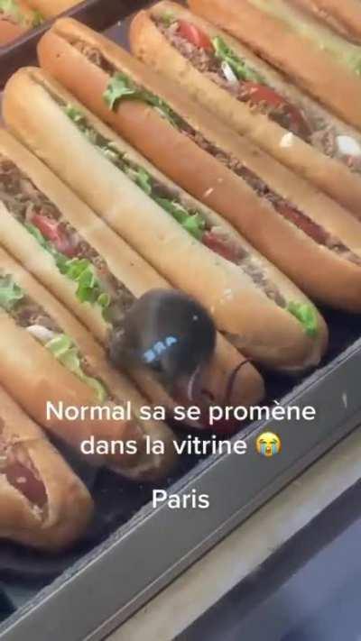 Tema la taille du sandwich