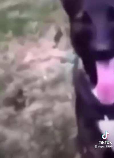 AAAAAAAAAAAAAAAAAAAAAAA