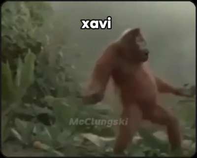 Baile de apareamiento 