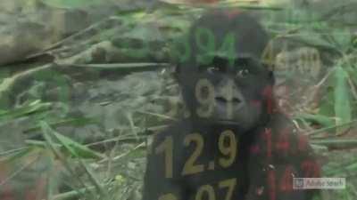 Vibe check for monday.