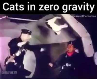 HUEstation - Video #1664