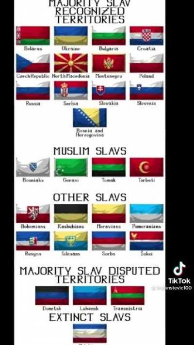 Types of slavs, know ur type. (Muslim slavs are the most based)