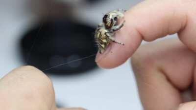 She really is the cutest, I lover her little reach out.