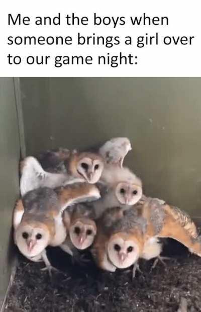 What is this creature