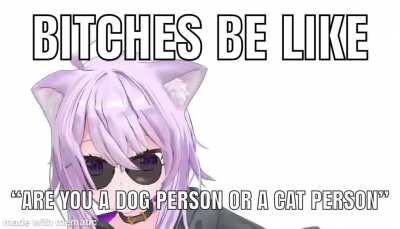 Think about it. How many stray dogs have you seen? Now think about how many stray cats you’ve seen.