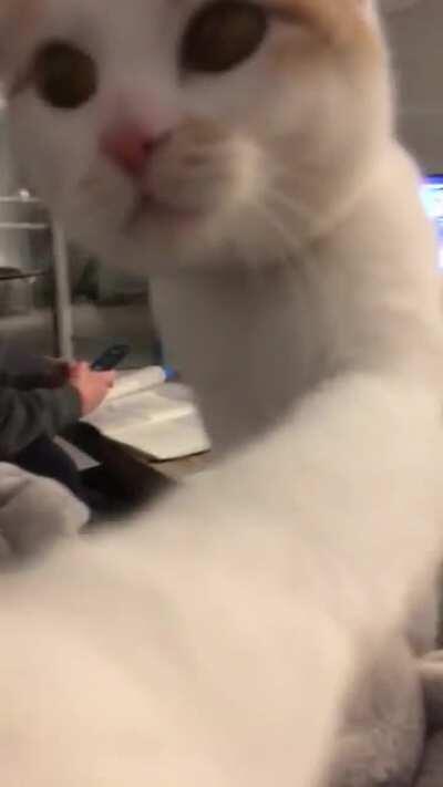 These are the noises she makes when she wants dinner