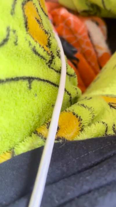 pj farts are the best!!