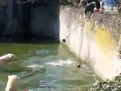 She was ok, minor injuries