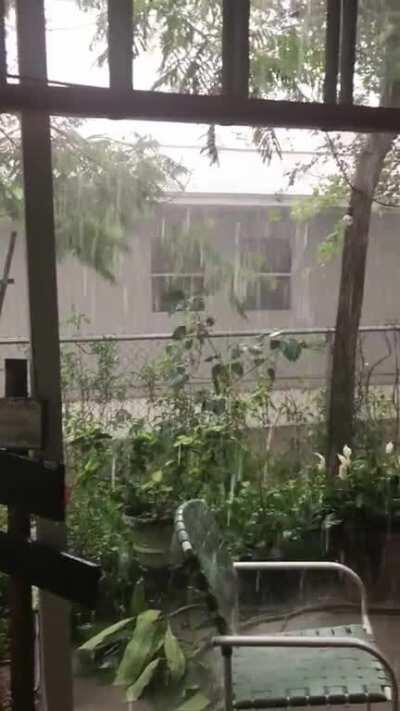 Rained for an hour and half in south Texas. This was about 2 weeks ago.