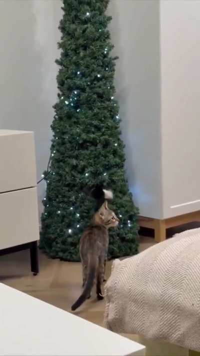 private sleeping place🤗