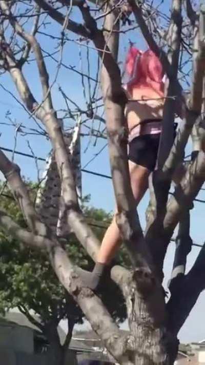 Both make great points