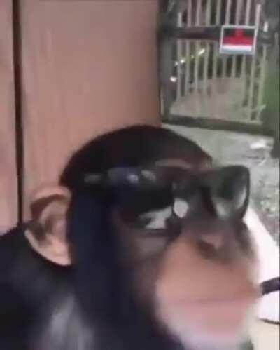 Se le ve bien fresco al pana Toreto no te voy a mentir