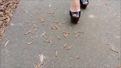 Wooden Heels vs Worms