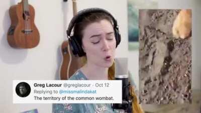 This thumbnail has a parakeet, some guitars, a microphone, a dresser, a plant, some wall art, a screenshot of some twitter comment, and a girl in some headphones . . . and the girl looks like she is yelling. But she isn't. She does something else.