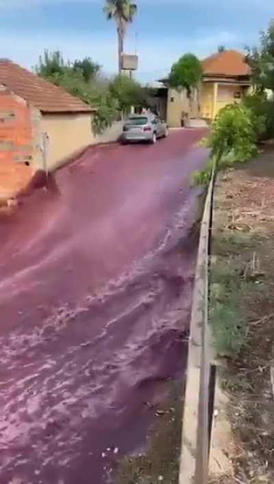 Река из вина в Португалии