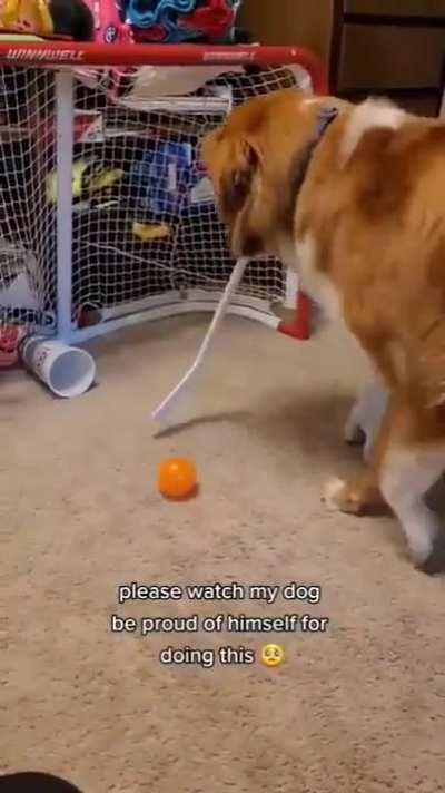 The bestest of goals by the goodest of bois.