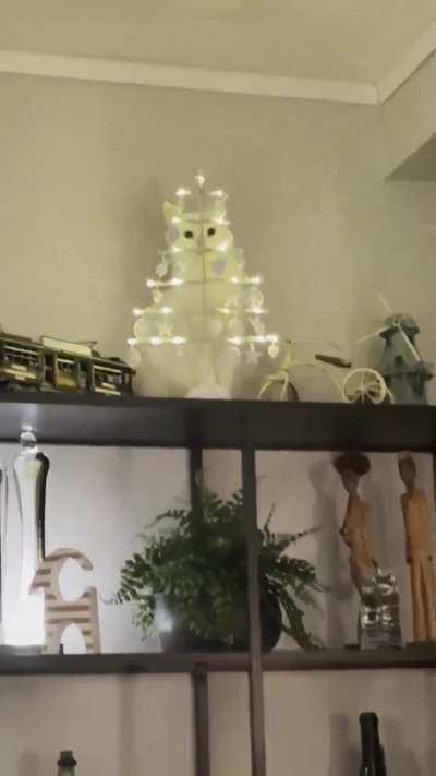 Bro thinks we can't see him