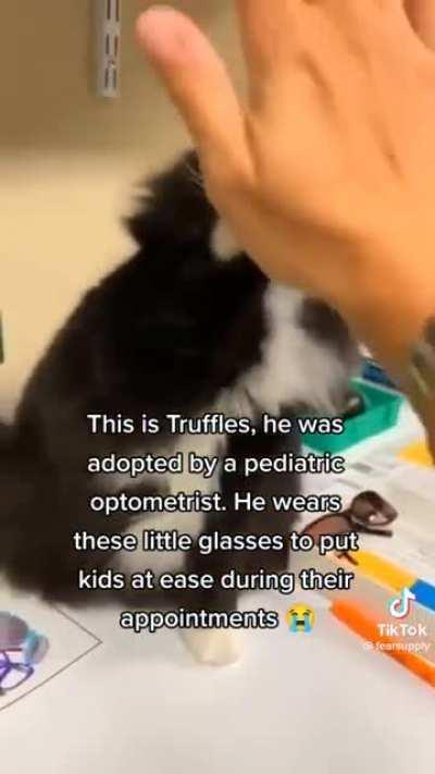 pediatric optometrist kitty