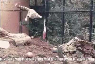 What can I say? I love steak