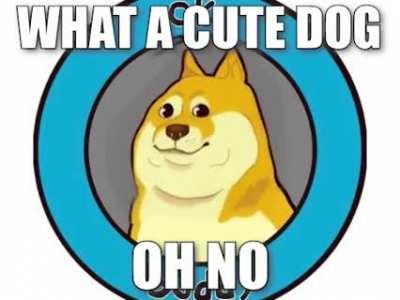 Doge. Why!?😱😱😱