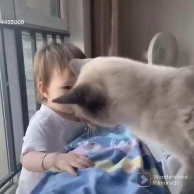 The look of disappointment!