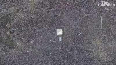 Buenos Aires Celebrates Argentina's World Cup Victory