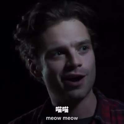 What does the moo cow say?