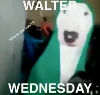 Walter Wednesday Baby
