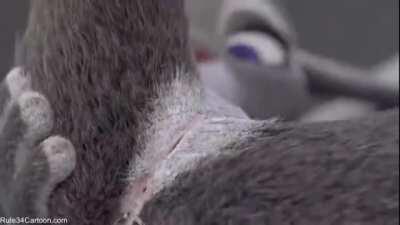 Judy Hopps ass plug - Zootopia