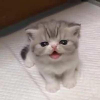 Vou apelar para upvote