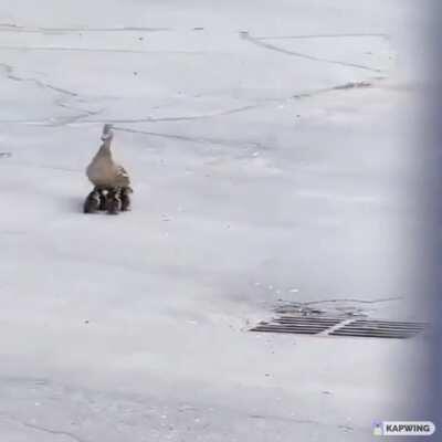 How it feels to play squads right now