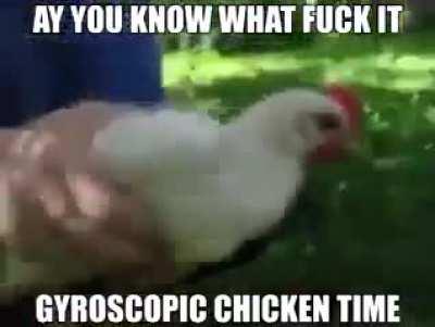 fuck it, take a gyroscopic chicken for eyebleach day