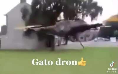Gato Dron