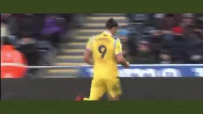 Andy Carroll Goal for Reading