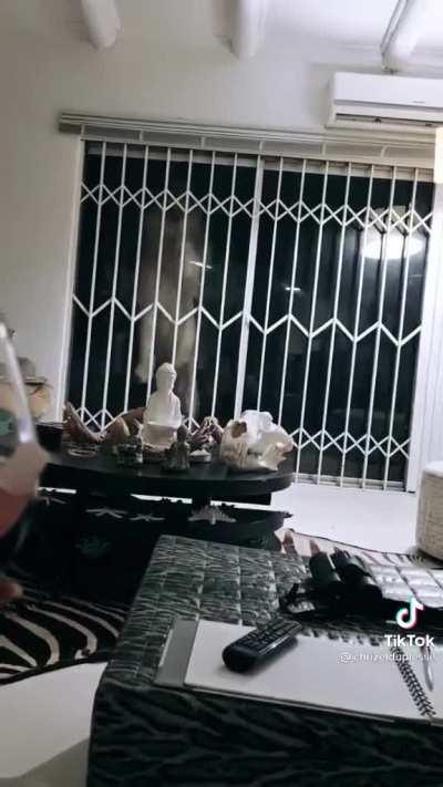 Attempted break-in at a house in South Africa