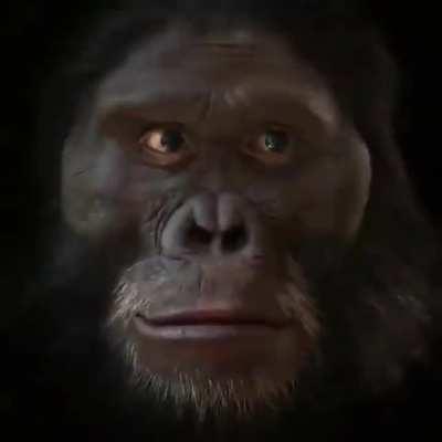 I WANNA BE MONKE AGAIN