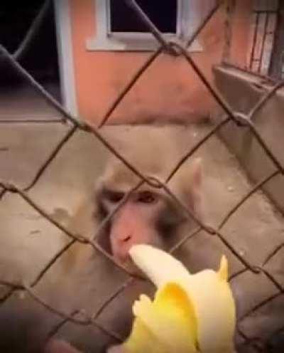 Muca recebendo donate durante o filme