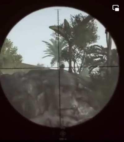 New footage from Ukraine