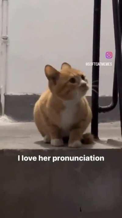 Grammatically Correct Wunk